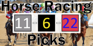 Read more about the article Horse Racing Picks 11/6/22 | Computer Model Picks