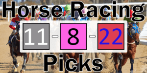 Read more about the article Horse Racing Picks 11/8/22 | Computer Model Picks