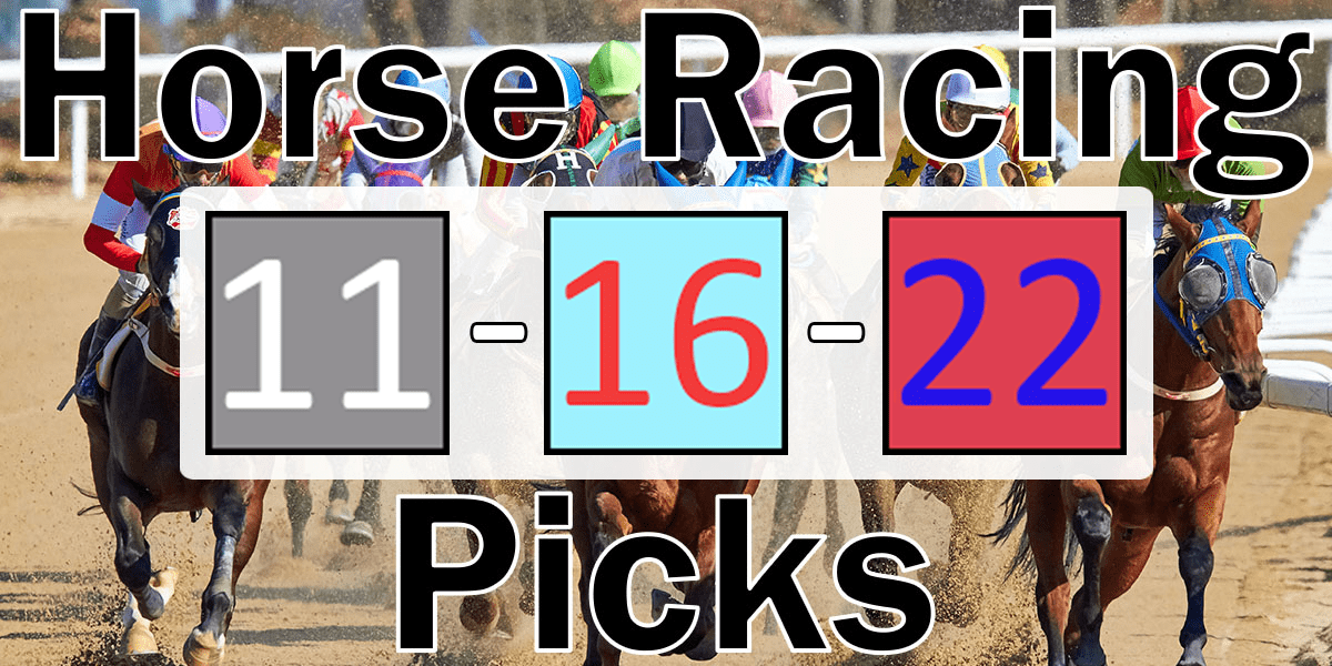 Read more about the article Horse Racing Picks 11/16/22 | Computer Model Picks