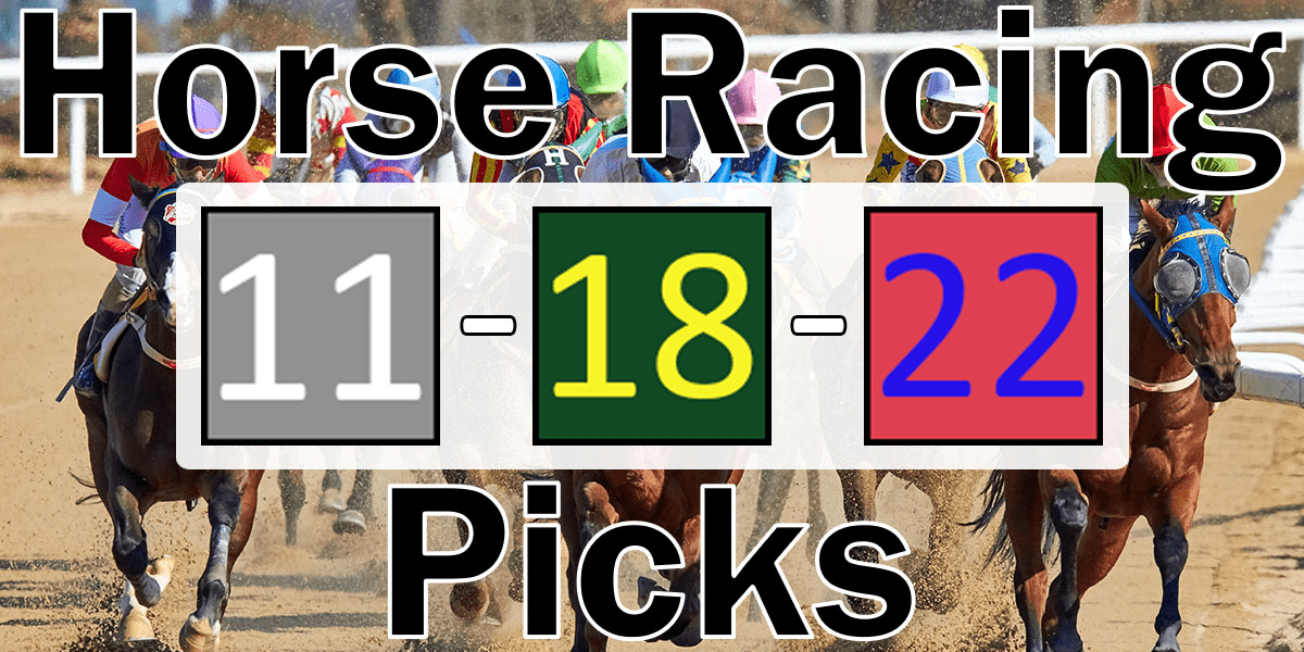 Read more about the article Horse Racing Picks 11/18/22 | Computer Model Picks