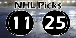 Read more about the article NHL Picks 11/25/22 | Computer Model Picks