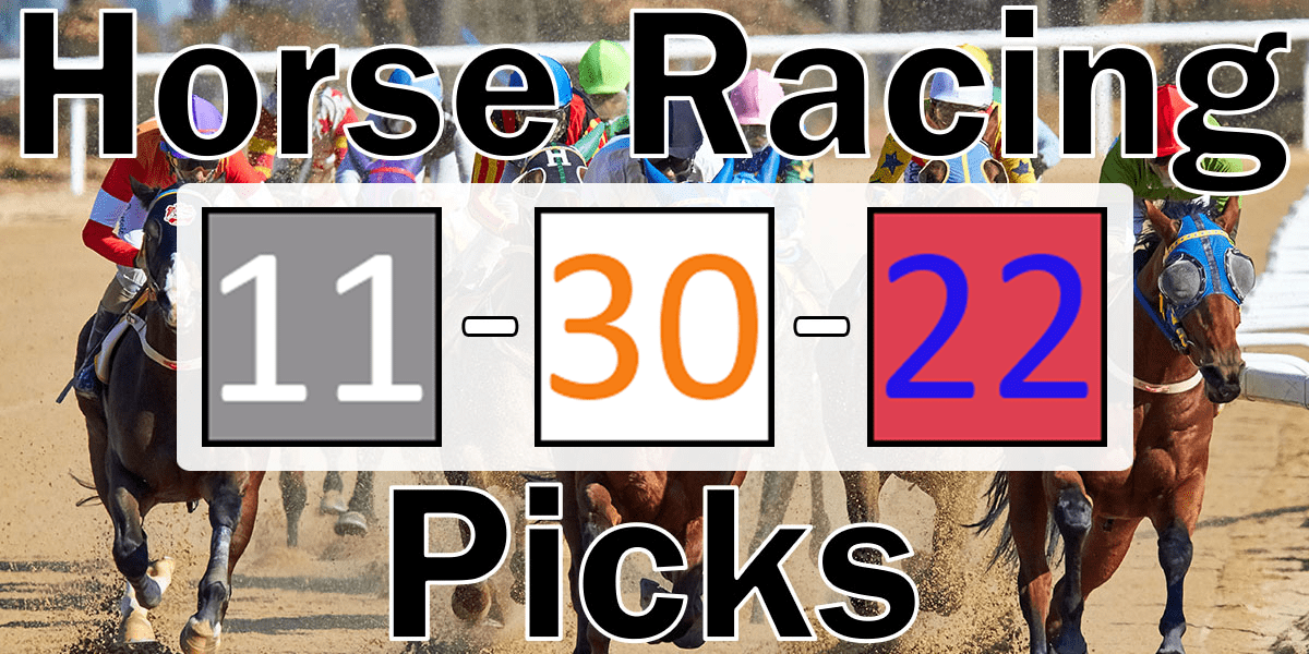 Read more about the article Horse Racing Picks 11/30/22 | Computer Model Picks