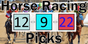 Read more about the article Horse Racing Picks 12/9/22 | Computer Model Picks