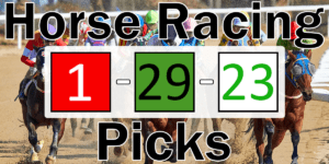 Read more about the article Horse Racing Picks 1/29/23 | Computer Model Picks