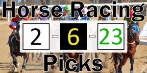 Read more about the article Horse Racing Picks 2/6/23 | Computer Model Picks