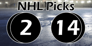 Read more about the article NHL Picks 2/14/23 | Computer Model Picks