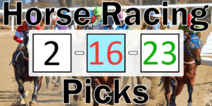 Read more about the article Horse Racing Picks 2/16/23 | Computer Model Picks