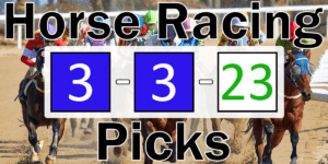 Read more about the article Horse Racing Picks 3/3/23 | Computer Model Picks
