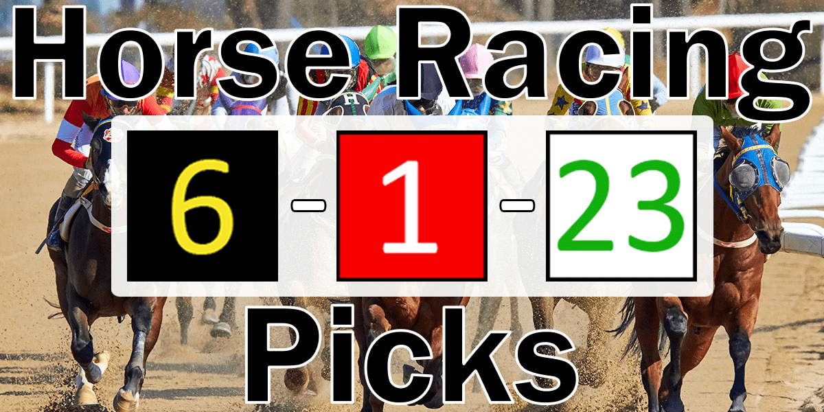 Read more about the article Horse Racing Picks 6/1/23 | Computer Model Picks