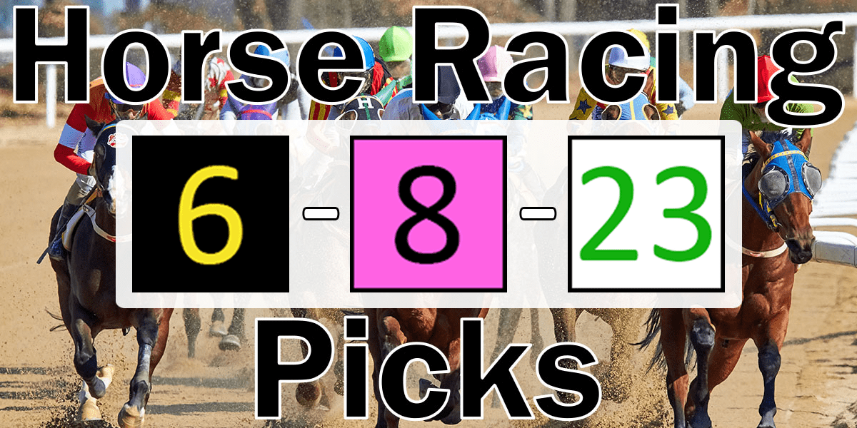 Read more about the article Horse Racing Picks 6/8/23 | Computer Model Picks