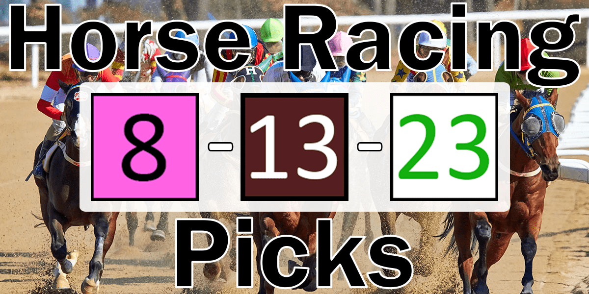 Read more about the article Horse Racing Picks 8/13/23 | Computer Model Picks
