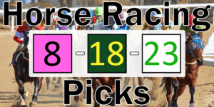Read more about the article Horse Racing Picks 8/18/23 | Computer Model Picks