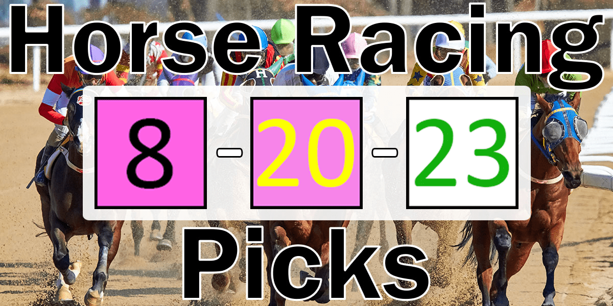 Read more about the article Horse Racing Picks 8/20/23 | Computer Model Picks