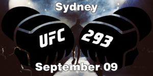 Read more about the article UFC 293 Adesanya vs Strickland Picks | Computer Model Picks