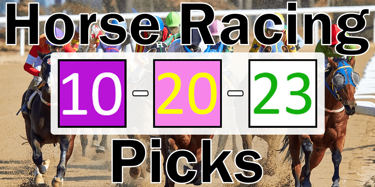 Read more about the article Horse Racing Picks 10/20/23 | Computer Model Picks
