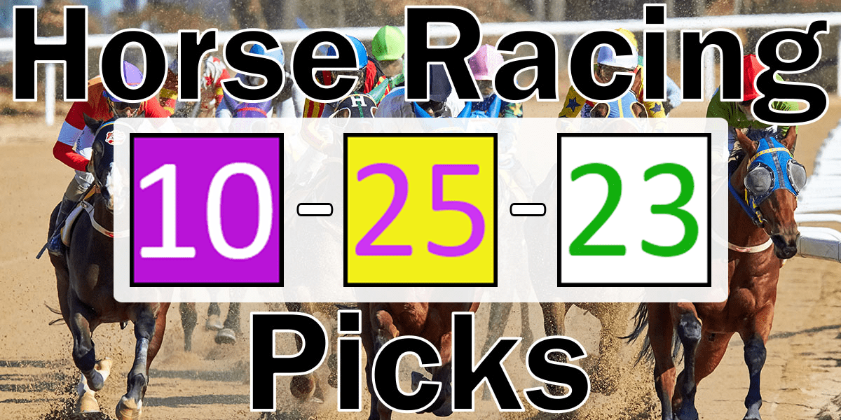 Read more about the article Horse Racing Picks 10/25/23 | Computer Model Picks