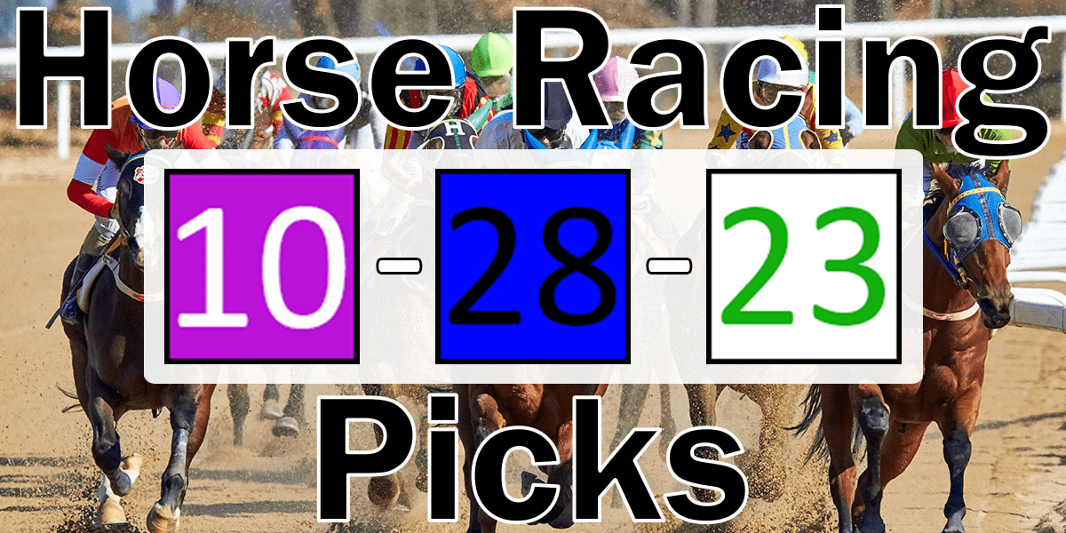 Read more about the article Horse Racing Picks 10/28/23 | Computer Model Picks
