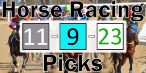 Read more about the article Horse Racing Picks 11/9/23 | Computer Model Picks