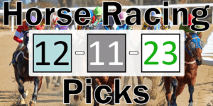 Read more about the article Horse Racing Picks 12/11/23 | Computer Model Picks