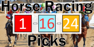 Read more about the article Horse Racing Picks 1/16/24 | Computer Model Picks
