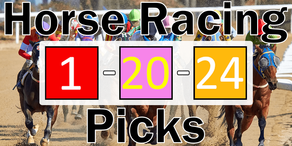 Read more about the article Horse Racing Picks 1/20/24 | Computer Model Picks