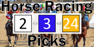 Read more about the article Horse Racing Picks 2/3/24 | Computer Model Picks