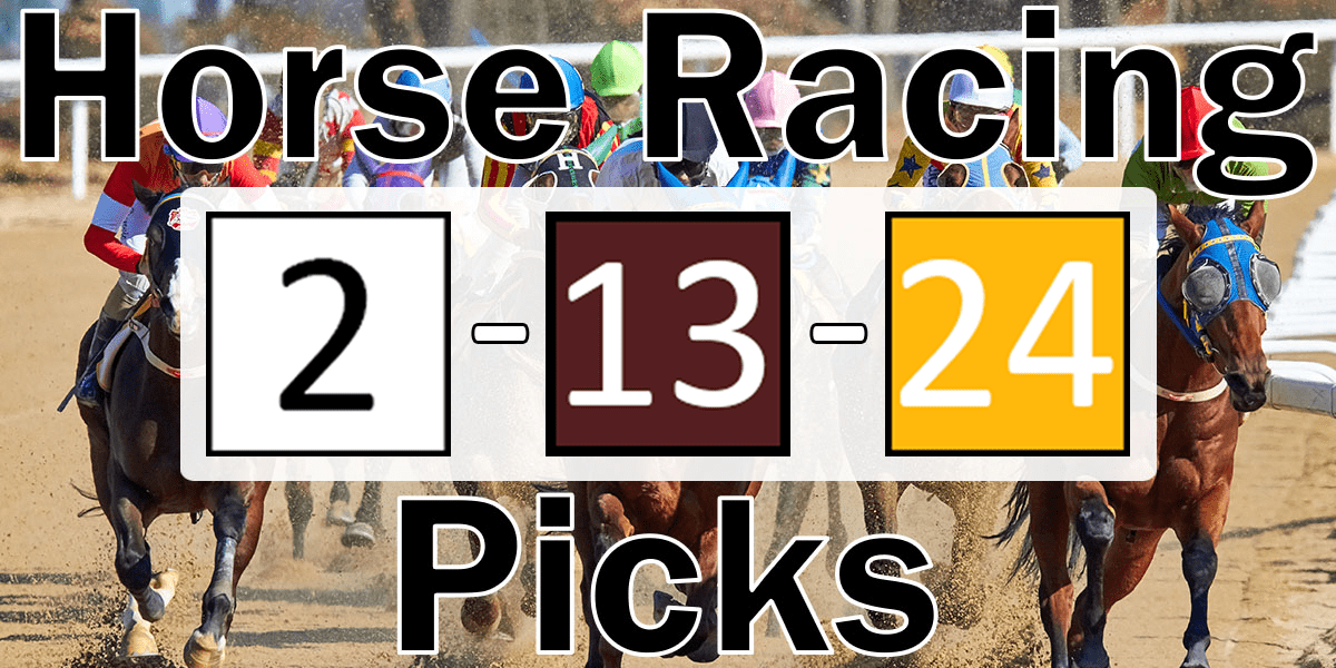 Read more about the article Horse Racing Picks 2/13/24 | Computer Model Picks
