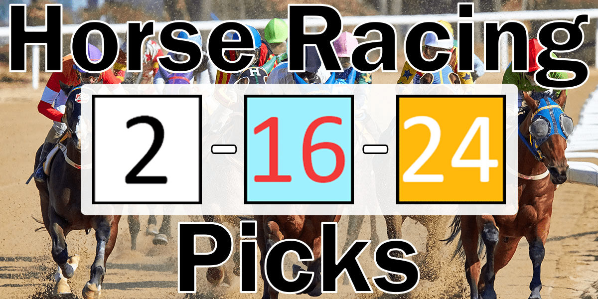 Read more about the article Horse Racing Picks 2/16/24 | Computer Model Picks