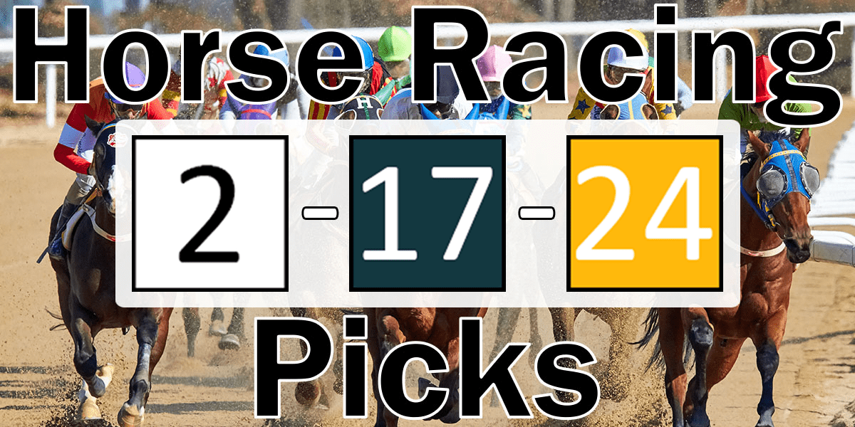 Read more about the article Horse Racing Picks 2/17/24 | Computer Model Picks