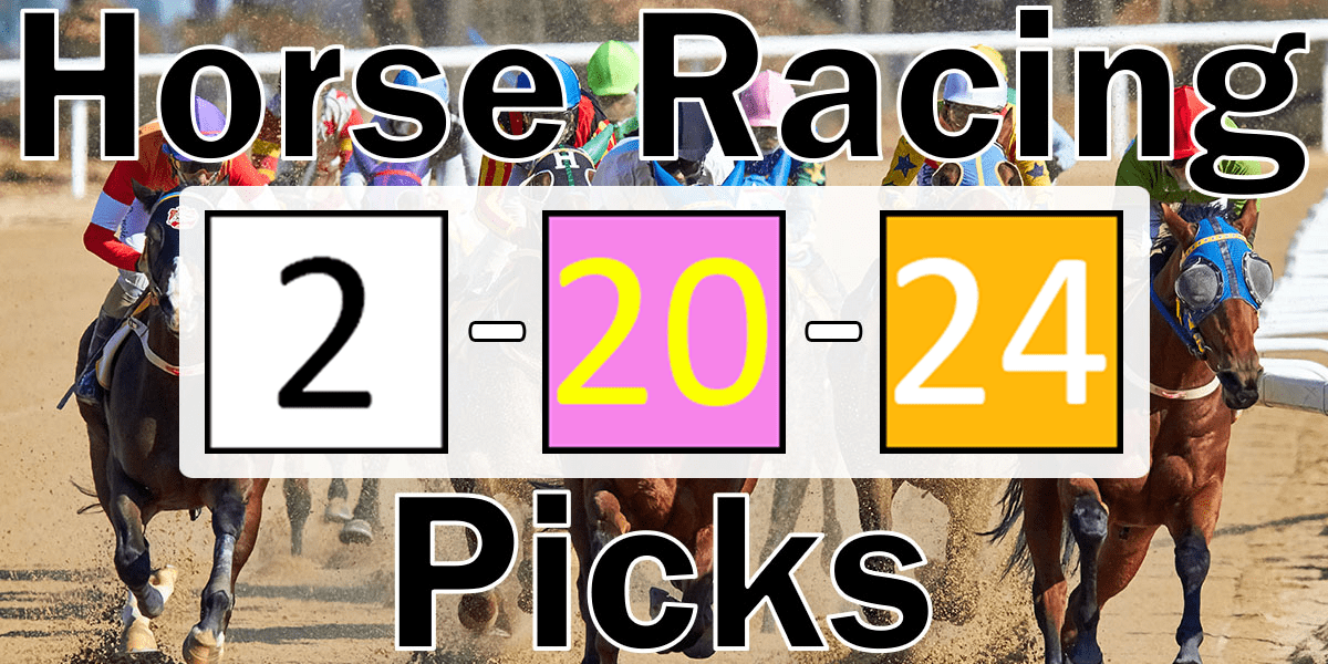 Read more about the article Horse Racing Picks 2/20/24 | Computer Model Picks